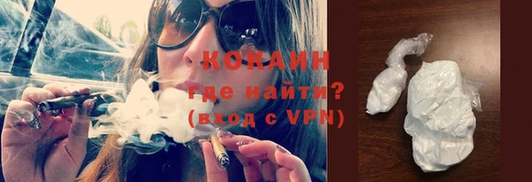 индика Заволжье