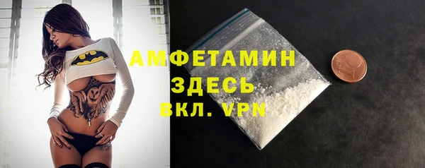 индика Заволжье