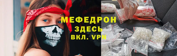 индика Заволжье