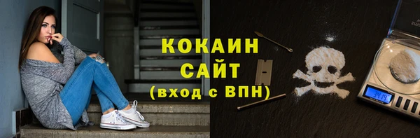 индика Заволжье
