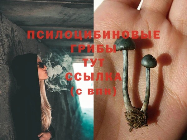 крисы Заводоуковск