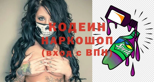 индика Заволжье