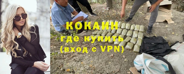 индика Заволжье