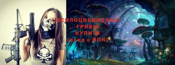 индика Заволжье