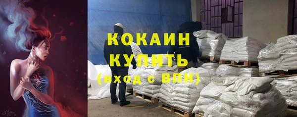 крисы Заводоуковск