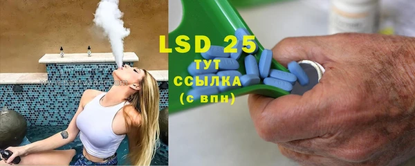 индика Заволжье