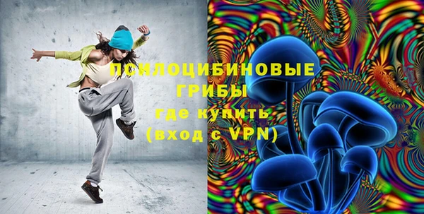 индика Заволжье