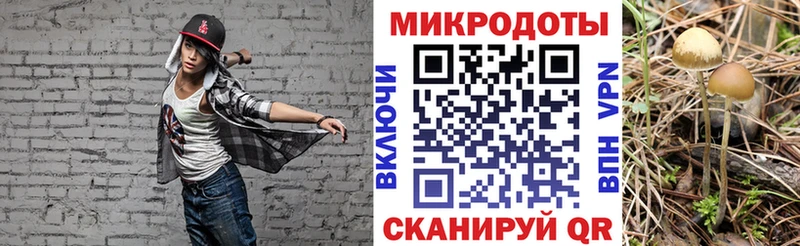 Псилоцибиновые грибы GOLDEN TEACHER  MEGA как войти  Соль-Илецк  как найти закладки 