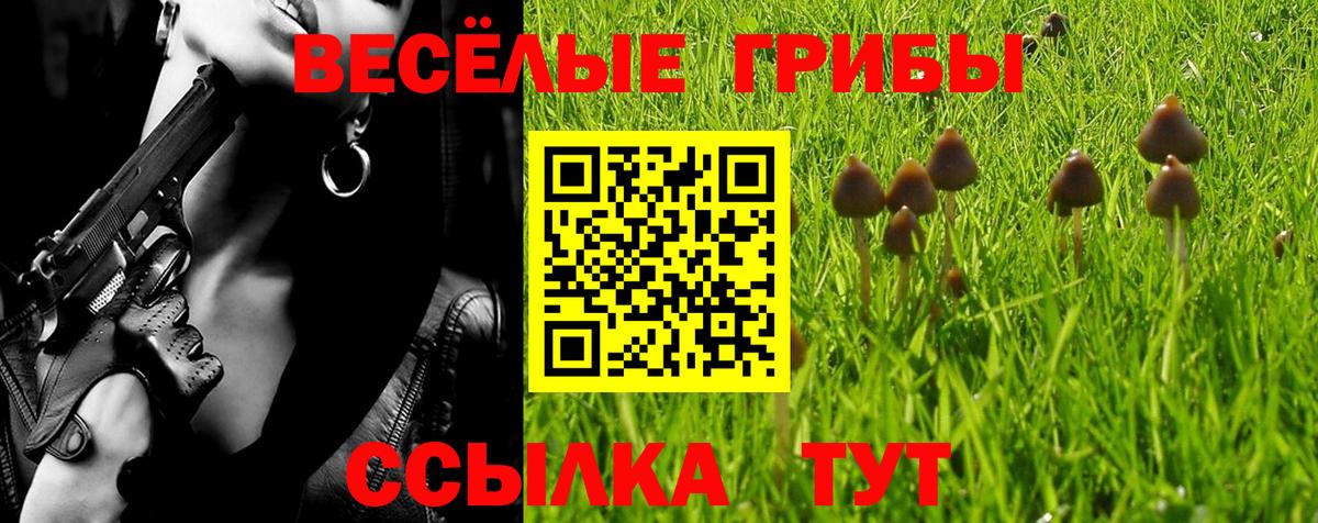 Псилоцибиновые грибы Cubensis Соль-Илецк
